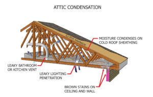 what does attic condensation look like
