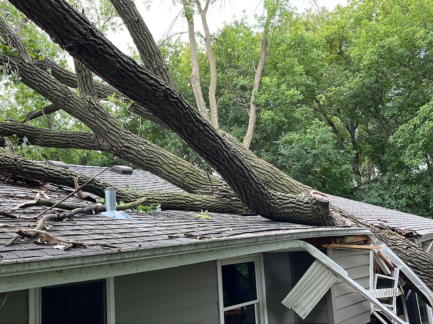 tree down on roof