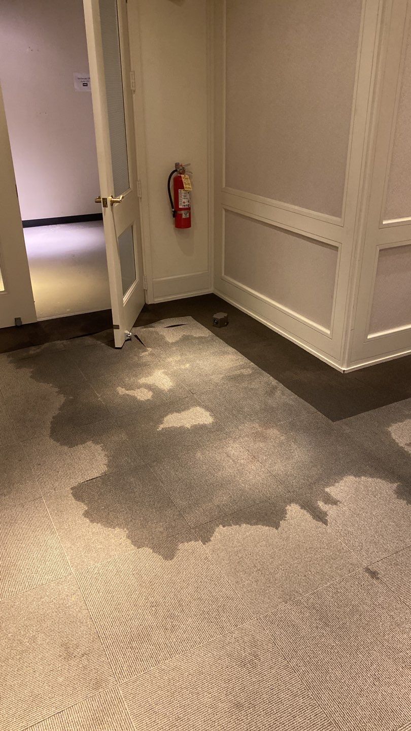 Lobby Water Loss